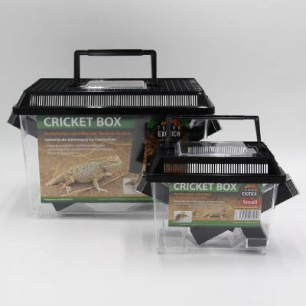 Cricket Box Verschiedene Größen